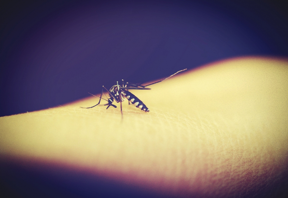 dengue zika y chikungunya que repelente usar en niños